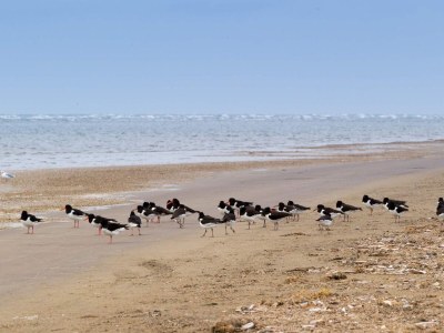 Holiday house Ruhige Strandhutte in Rindby-By Traum - Outdoor photo 31