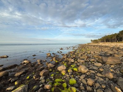 Holiday house 6 Personen Ferienhaus in Dronningmølle-By Traum - Outdoor photo 10