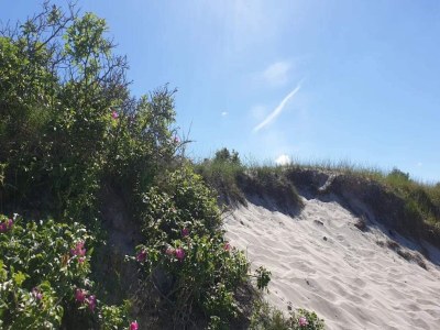 Holiday house 6 Personen Ferienhaus in Dronningmølle-By Traum - Outdoor photo 34