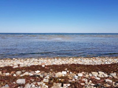 Holiday house 6 Personen Ferienhaus in Dronningmølle-By Traum - Outdoor photo 46