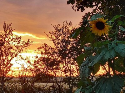 Holiday house 6 person holiday home in Højer - Outdoor photo 25