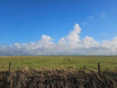 Holiday house 6 person holiday home in Højer - Outdoor photo 27