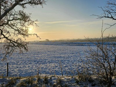 Holiday house 6 person holiday home in Højer - Outdoor photo 30