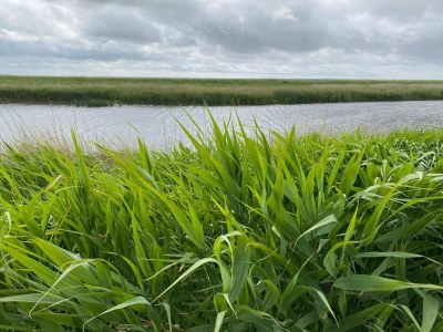 Holiday house 6 person holiday home in Højer - Outdoor photo 31