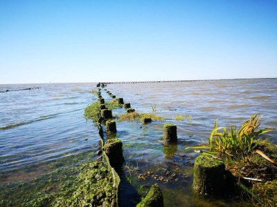 Holiday house 6 person holiday home in Højer - Outdoor photo 34