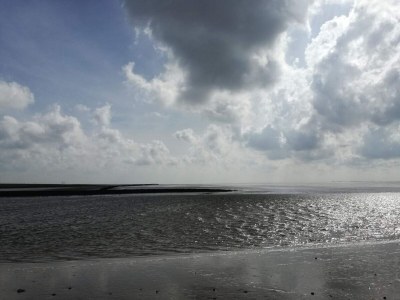 Holiday house 6 person holiday home in Højer - Outdoor photo 35