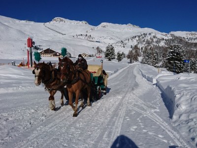 Chalet Chesa Prasüras / - Environment photo 34