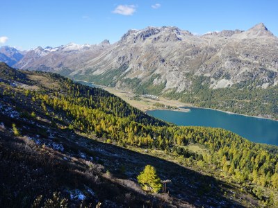 Chalet Chesa Prasüras / - Environment photo 37