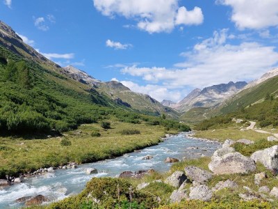Chalet Chesa Prasüras / - Environment photo 39
