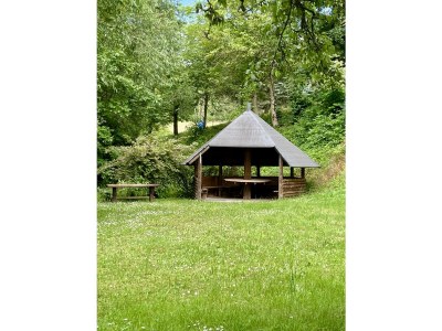 Apartment 3-Bett-Ferienwohnung 17- Tannenzauber - Outdoor photo 12