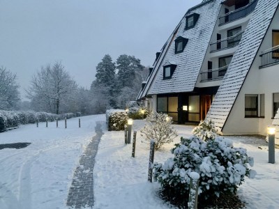 Apartment 3-Bett-Ferienwohnung 17- Tannenzauber - Outdoor photo 16