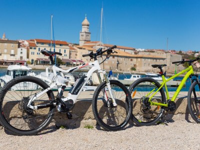 Villa 1900 - Environment photo 32