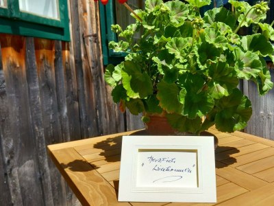 Apartment Appartement/Fewo, Bad, WC, 2 Schlafräume - Outdoor photo 10