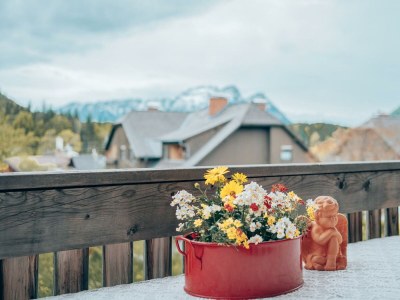 Holiday apartment Gästewohnung Sebastian in Grundlsee - Holiday apartment