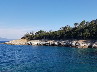 Holiday apartment Villa Lena - Environment photo 32