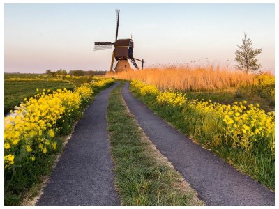 Holiday apartment Beach Cottage Noordwijk - Environment photo 21