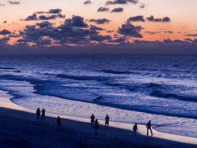 Holiday apartment Beach Cottage Noordwijk - Environment photo 28