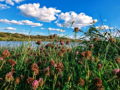 Holiday house Luxus-Ruckzugsort bei Houstrup -- By Traum Ferienwohnungen - Outdoor photo 13