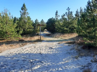 Holiday house Luxus-Ruckzugsort bei Houstrup -- By Traum Ferienwohnungen - Outdoor photo 37