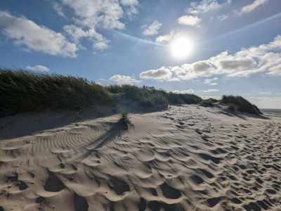 Holiday house Luxus-Ruckzugsort bei Houstrup -- By Traum Ferienwohnungen - Outdoor photo 39