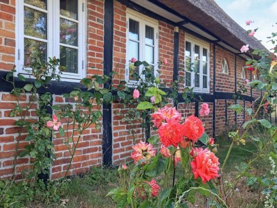 Holiday house 6 person holiday home in Guldborg-By Traum - Outdoor photo 17