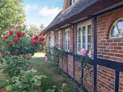 Holiday house 6 person holiday home in Guldborg-By Traum - Outdoor photo 18