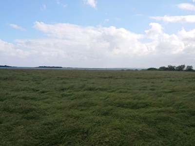 Holiday house 6 person holiday home in Guldborg-By Traum - Outdoor photo 19