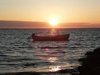 Holiday house 6 person holiday home in Guldborg-By Traum - Outdoor photo 23