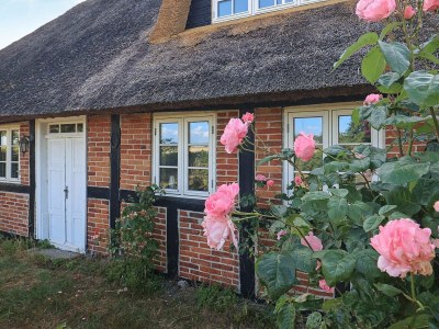 Holiday house 6 person holiday home in Guldborg-By Traum - Outdoor photo 26