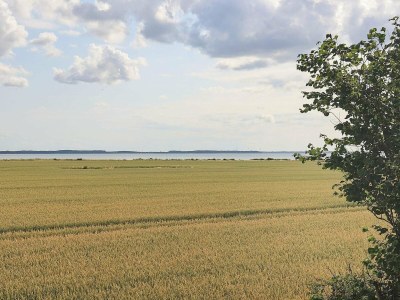 Holiday house 6 person holiday home in Guldborg-By Traum - Outdoor photo 28