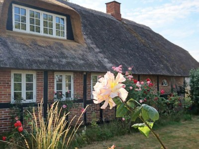 Holiday house 6 person holiday home in Guldborg-By Traum - Outdoor photo 33