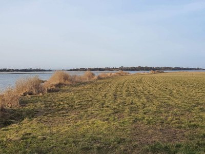 Holiday house 6 person holiday home in Guldborg-By Traum - Outdoor photo 34