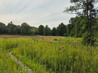 Holiday house 4 person holiday home in Hovborg-By Traum - Outdoor photo 10