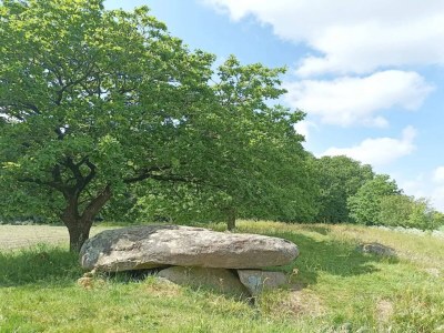Holiday house 4 person holiday home in Hovborg-By Traum - Outdoor photo 11