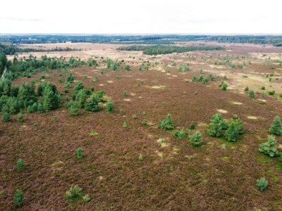 Holiday house 4 person holiday home in Hovborg-By Traum - Outdoor photo 29