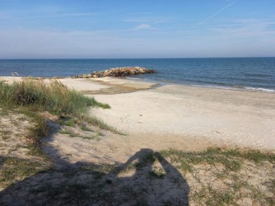 Holiday house 5 person holiday home near Sæby Beach - Outdoor photo 11