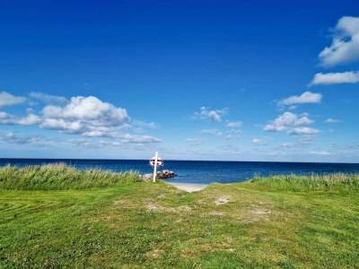 Holiday house 5 person holiday home near Sæby Beach - Outdoor photo 29