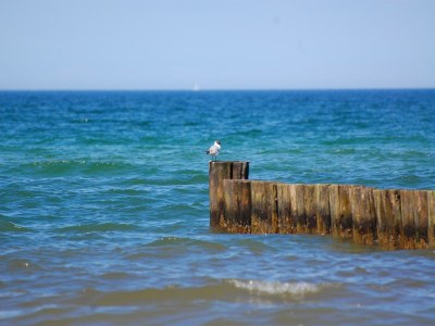 Apartment Küstenwohnung in Zierow - Environment photo 22