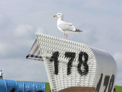 Apartment Küstenwohnung in Zierow - Outdoor photo 29