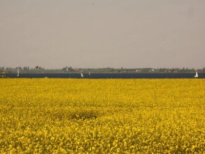 Apartment Charmantes Küstendomizil in Zierow - Environment photo 16