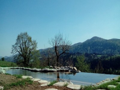 Holiday house Ferienhaus in Bunjevci mit Sauna und Garten - Holiday house