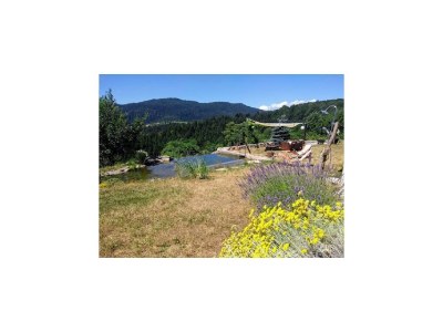 Holiday house Ferienhaus in Bunjevci mit Sauna und Garten - Outdoor photo 9