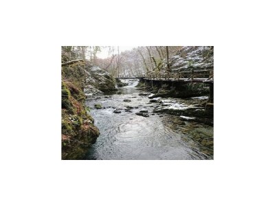 Holiday house Ferienhaus in Bunjevci mit Sauna und Garten - Environment photo 43