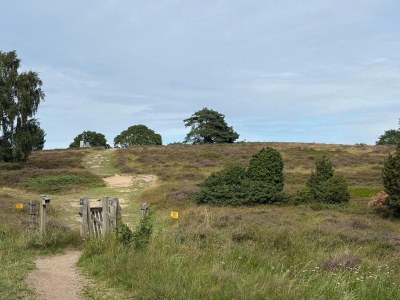 Holiday house Luxurioses Wellness-Retreat -- By Traum Ferienwohnungen - Outdoor photo 35