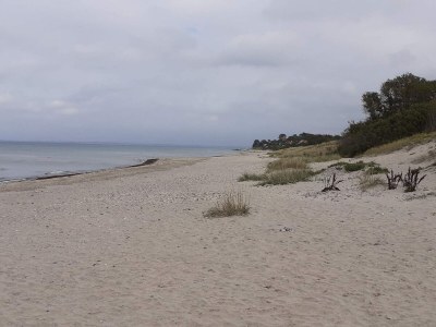 Holiday house Luxurioses Wellness-Retreat -- By Traum Ferienwohnungen - Outdoor photo 37