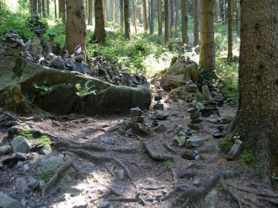 Holiday house Harz-Kurzurlaub in Lonau - Environment photo 24