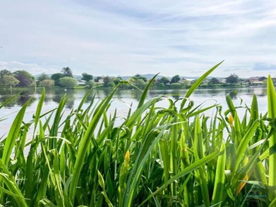 Holiday house Harz-Kurzurlaub in Lonau - Environment photo 25