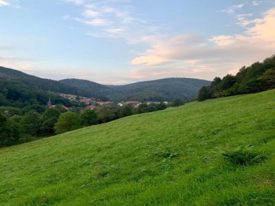 Holiday house Harz-Kurzurlaub in Lonau - Environment photo 27