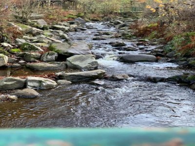 Holiday house Harz-Kurzurlaub in Lonau - Environment photo 28