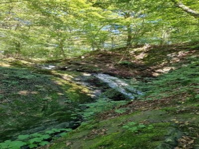Holiday house Harz-Kurzurlaub in Lonau - Environment photo 29